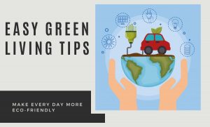 Easy Green Living Tips