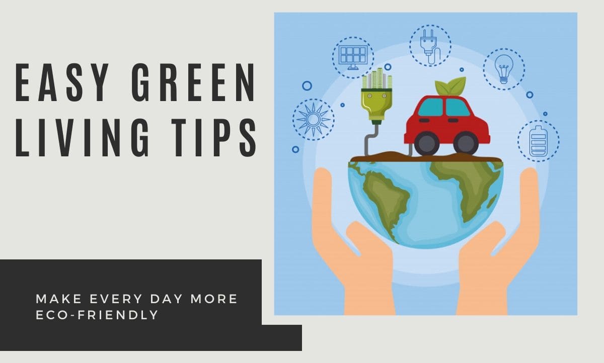 Green Living Tips to Make Every Day More Eco-Friendly | News of The Hour