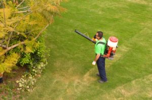 Garden Pests control tips