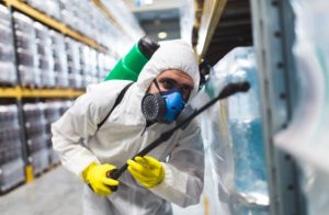 Regular pest control