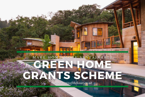 How To Make Your Home More Sustainable At An Affordable Price with Green Home Grants