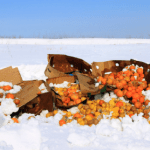 Effective Strategies for Winter Waste Management