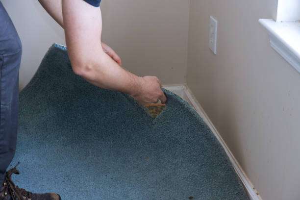 get-help-from-professional-carpet-removal-services-for-the-best-outcomes.